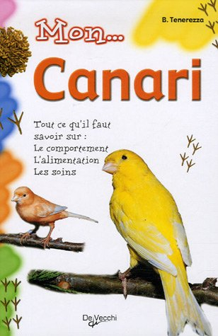Mon canari : tout ce qu'il faut savoir sur le comportement, l'alimentation, les soins