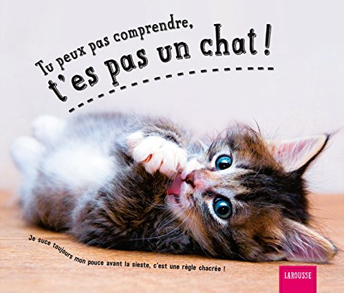 Tu peux pas comprendre, t'es pas un chat !