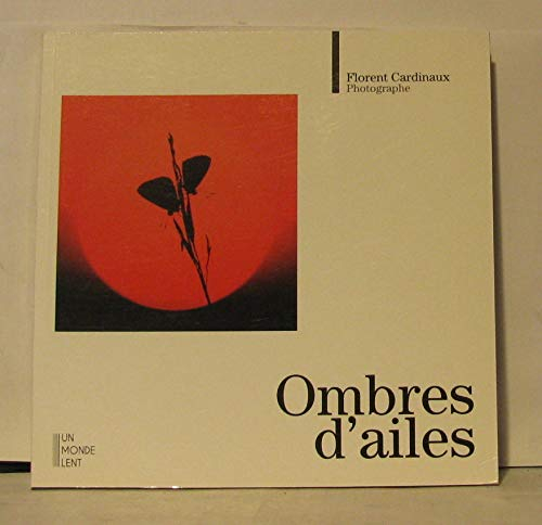 Ombres d'ailes