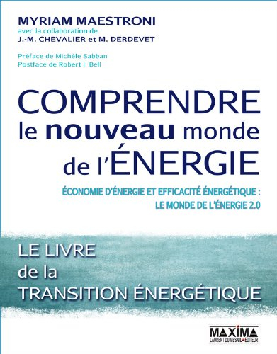 Comprendre le nouveau monde de l'énergie : économie d'énergie et efficacité énergétique : le monde d