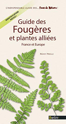 Guide des fougères et plantes alliées : France et Europe