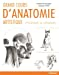 Grand cours d'anatomie artistique : l'homme et l'animal