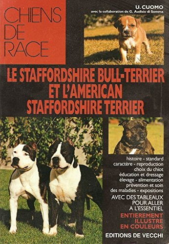 Le bull-terrier et l'American staffordshire terrier