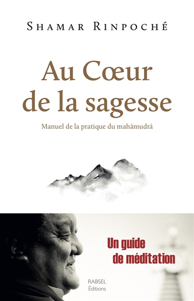 Au coeur de la sagesse : manuel de la pratique du mahamudra