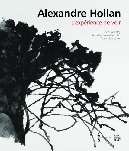 Alexandre Hollan : l'expérience de voir