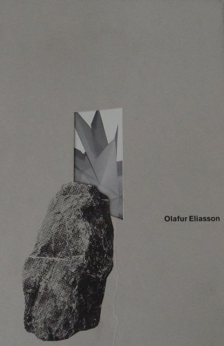 Olafur Eliasson : exposition, Paris, Musée d'art moderne, 22 mars-12 mai 2002