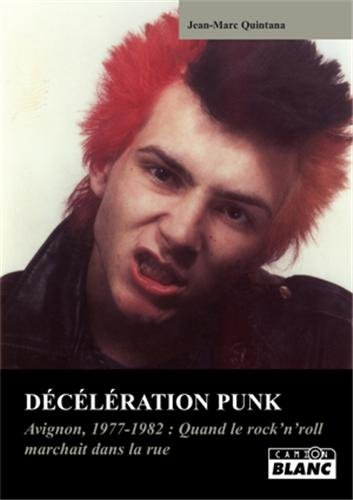 Décélération punk : Avignon, 1977-1982 : quand le rock'n'roll marchait dans la rue...