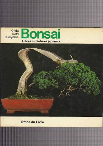 bonsai -arbres miniatures japon