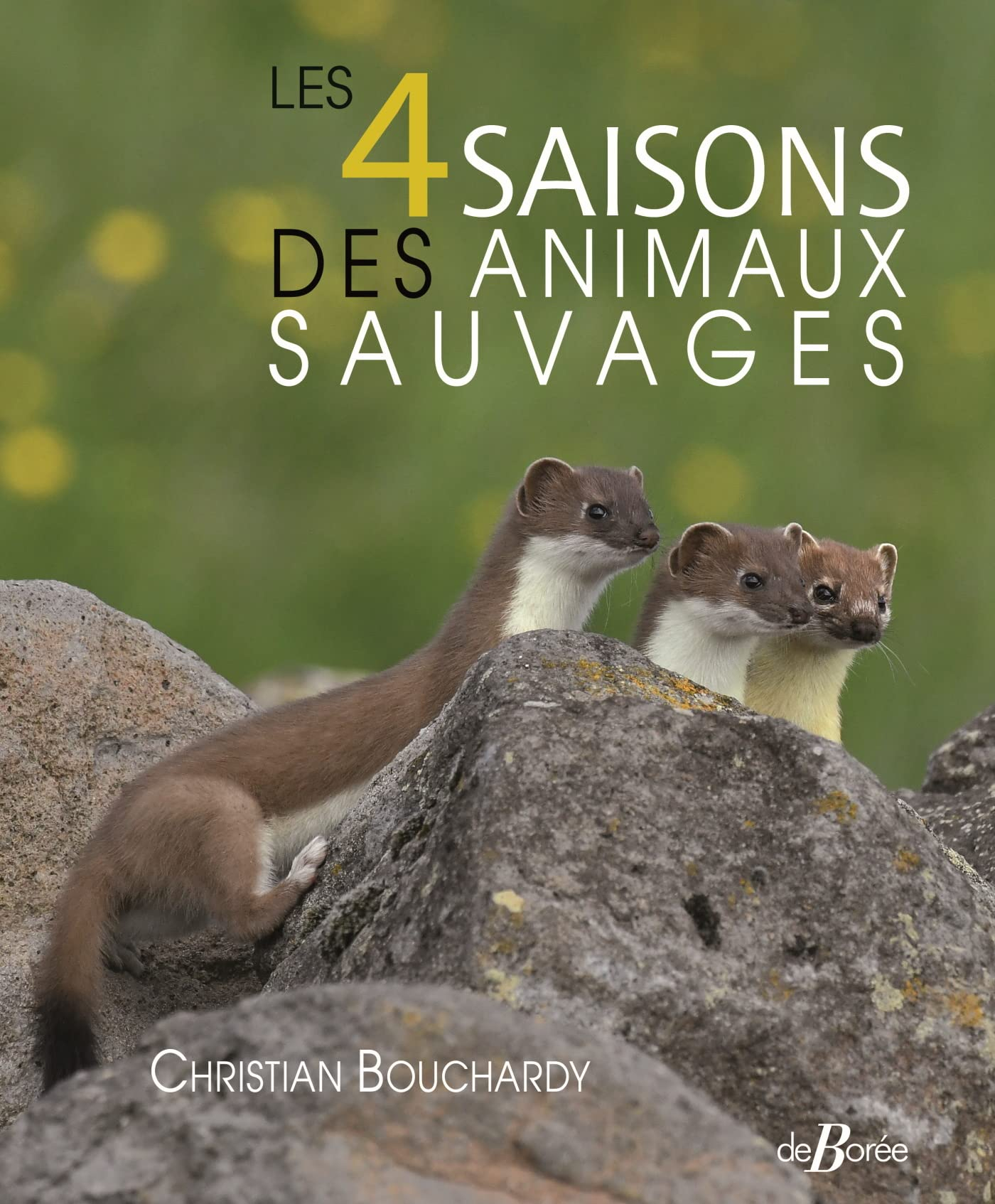 Les 4 saisons des animaux sauvages
