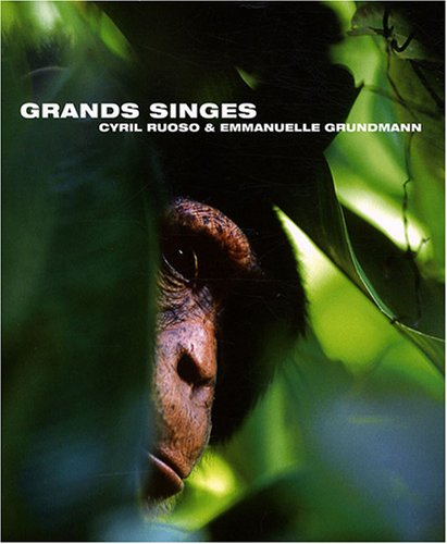 Grands singes