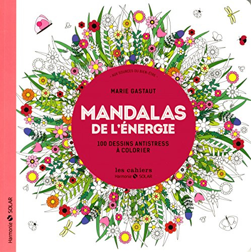 Mandalas de l'énergie : aux sources du bien-être : 100 dessins antistress à colorier