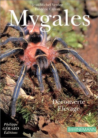 Mygales : élevage et découverte