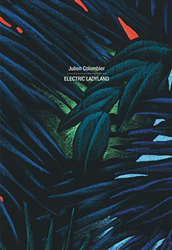 Julien Colombier : electric ladyland