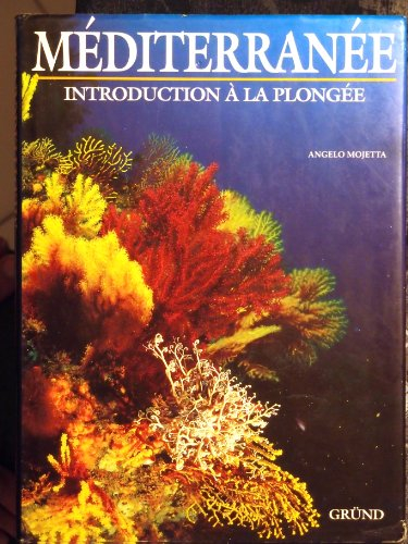 Méditerranée, introduction à la plongée