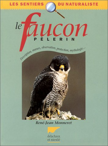 Le faucon pèlerin