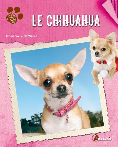 Le chihuahua