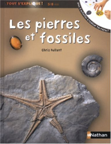 Les pierres et les fossiles