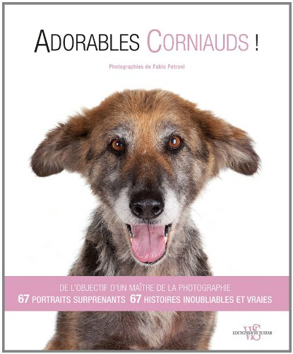 Adorables corniauds !