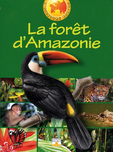 La forêt d'Amazonie