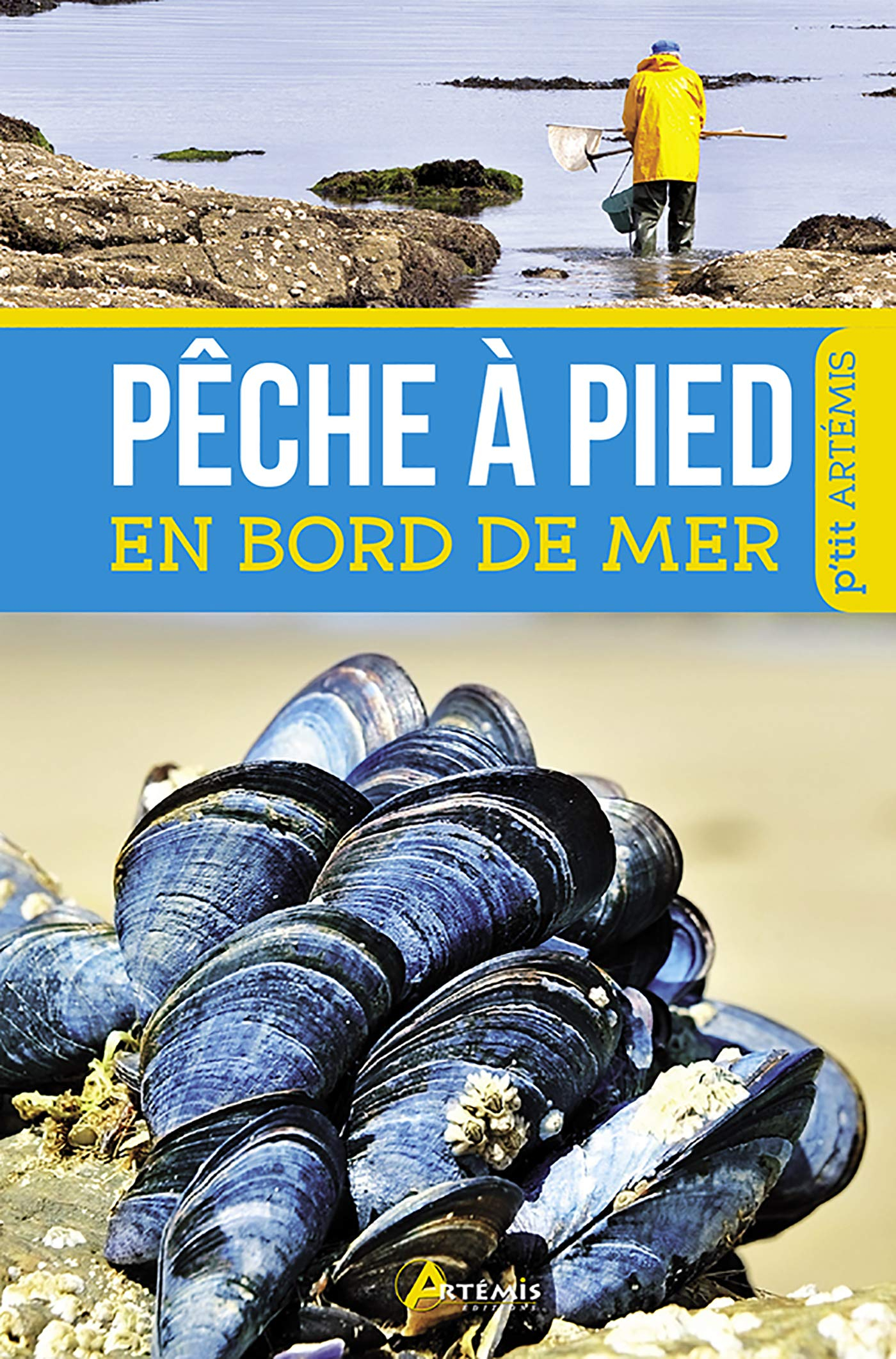Pêche à pied en bord de mer