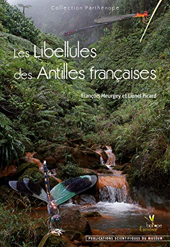 Les libellules des Antilles françaises : écologie, biologie, biogéographie et identification
