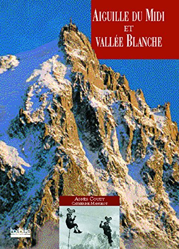 Aiguille du Midi et vallée Blanche