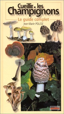 Cueillir les champignons : le guide complet