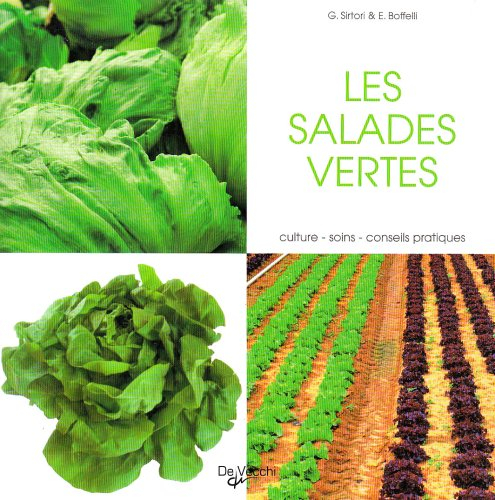 Les salades vertes : culture, soins, conseils pratiques