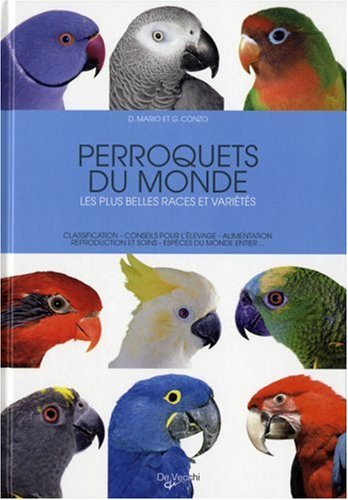 Perroquets du monde : les plus belles races et variétés