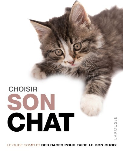 Choisir son chat : le guide complet des races pour faire le bon choix