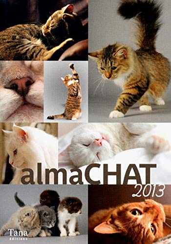 Almachat 2013