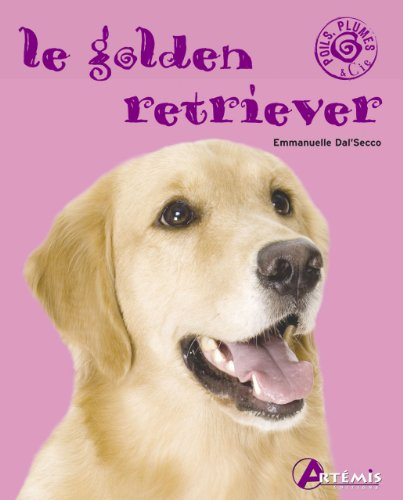 Le golden retriever