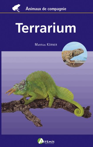 Terrarium pour débutants