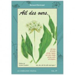 Ail des ours : aïe, aïe, aïe, les ails sauvages !