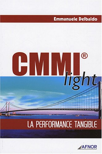 CMMI light : la performance tangible