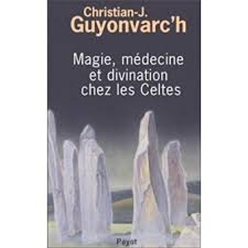 Magie, médecine et divination chez les Celtes