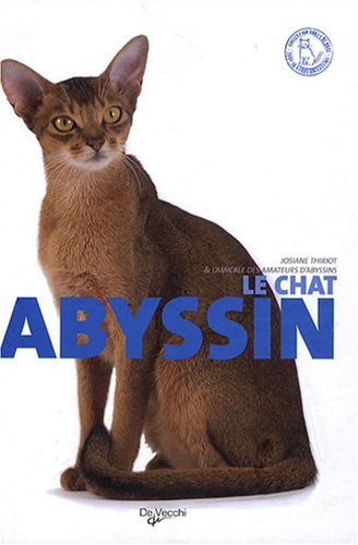 Le chat abyssin