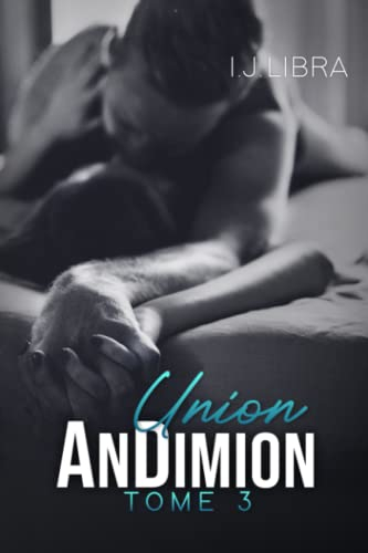 AnDimion: Union