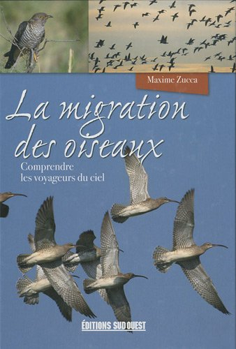 La migration des oiseaux : comprendre les voyageurs du ciel