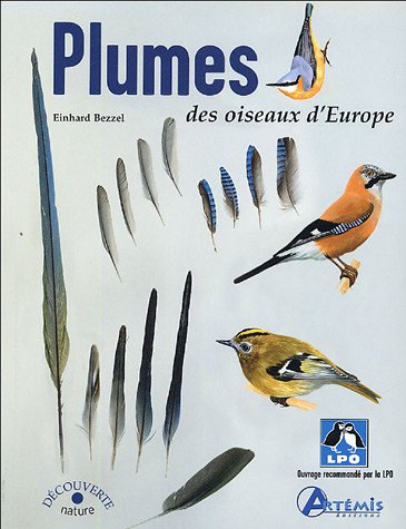 Plumes des oiseaux d'Europe
