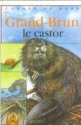Grand-Brun le castor