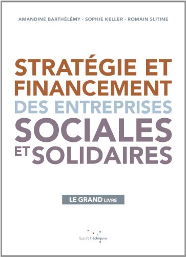Stratégie et financement des entreprises sociales et solidaires : le grand livre