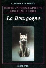 Histoire mystérieuse et insolite de la Bourgogne