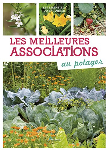 Les meilleures associations au potager