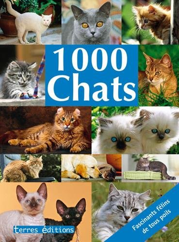 1.000 chats