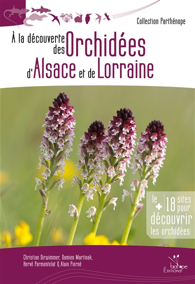 A la découverte des orchidées d'Alsace et de Lorraine