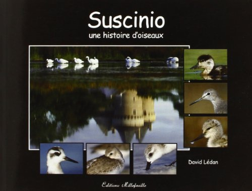 Suscinio, une histoire d'oiseaux.... Intrigues dans les marais : fable