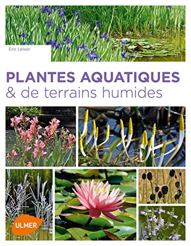 Plantes aquatiques & de terrains humides