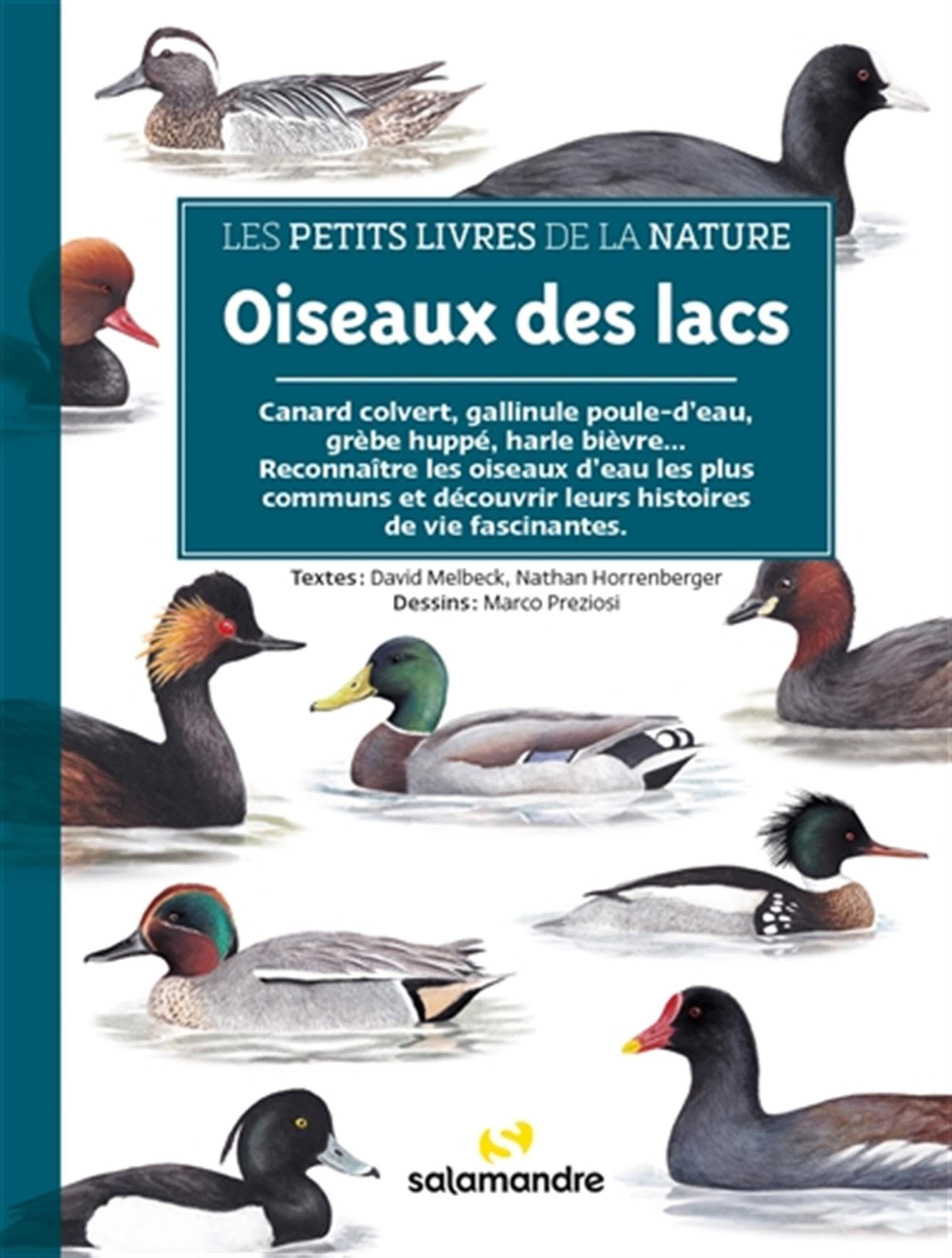 Oiseaux des lacs : canard colvert, gallinule poule-d'eau, grèbe huppé, harle brièvre... : reconnaîtr