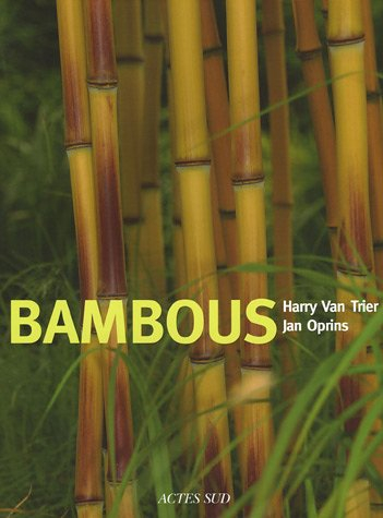Bambous